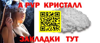 a pvp Гагарин