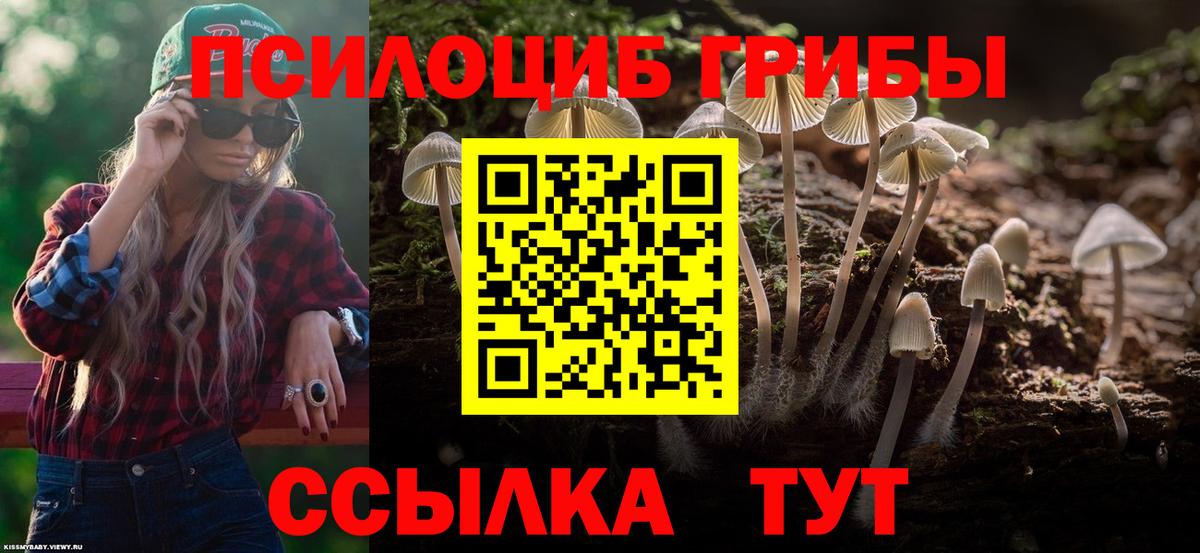 Галлюциногенные грибы MAGIC MUSHROOMS Можга