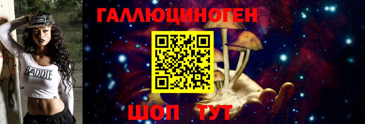 Галлюциногенные грибы Psilocybe  Вход с VPN  Можга 